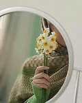 امیر تهرانی